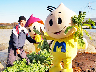 美味しくて、高品質なみよし野菜