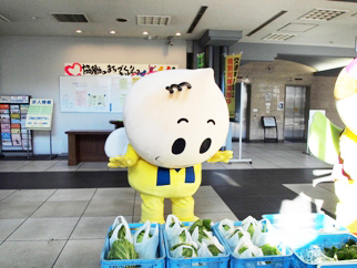 おっきな白菜もおいしそう!