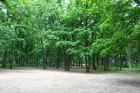 緑地公園