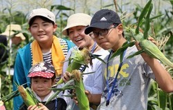 みよし野菜大収穫祭！畑を遊びつくそう！