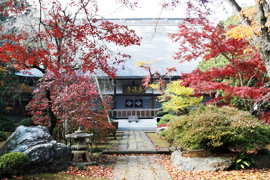 多福寺と境内林 秋
