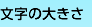 文字の大きさ