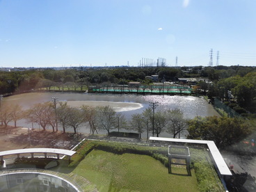 10月13日運動公園グラウンドの様子