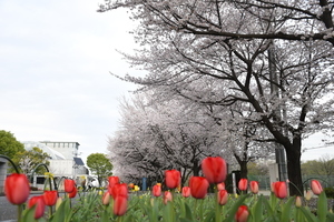 三芳町役場