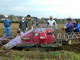 まず機械で芋を掘り上げる