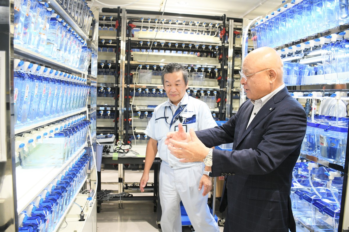 魚の飼育装置の様子