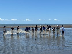 オーストライアNudgeeBeachでの見学様子