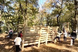 公園で子どもたちが遊ぶ様子