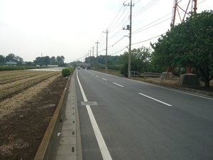 町道幹線14号線関越西側歩道整備前の写真