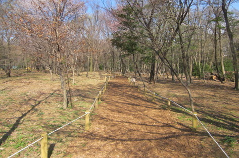 遊歩道