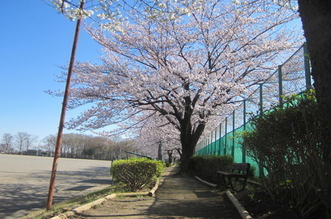 総合グランド遊歩道