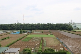 ガーデン画像