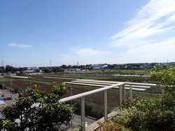 アスクル株式会社三芳センターの屋上からの地割見学の写真