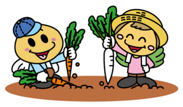野菜の収穫