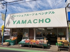 山長青果店